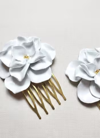 Magnolias 2