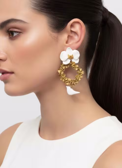 Orquídeas 4
